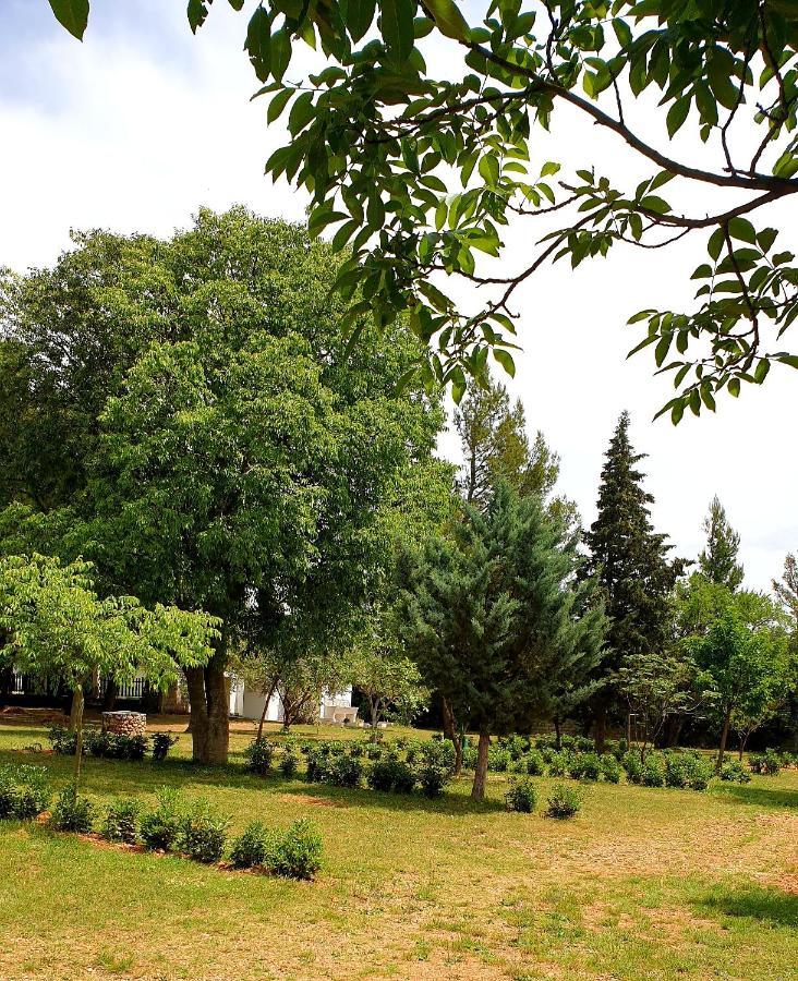 Apartmani Paron Sime Seline Exterior foto