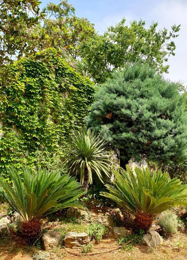 Apartmani Paron Sime Seline Exterior foto